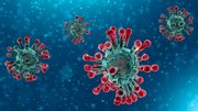 Situazione Coronavirus al 9 novembre 2010